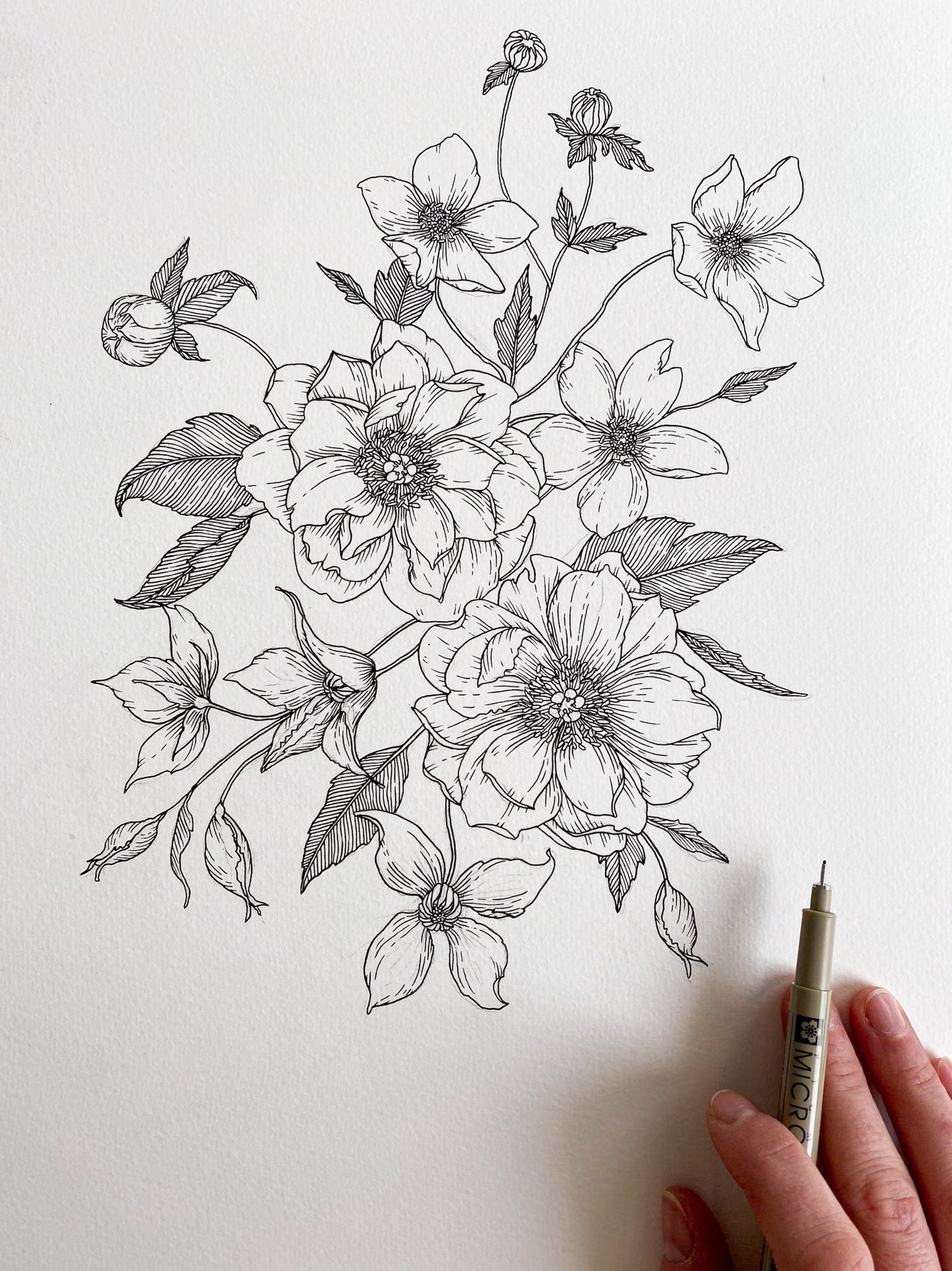 Peony + Clematis Art Print