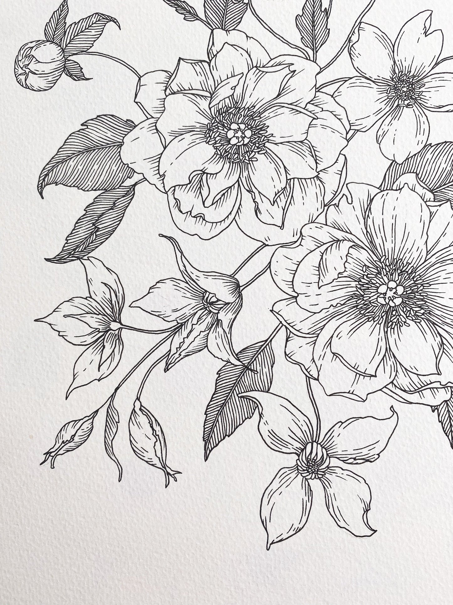 Peony + Clematis Art Print