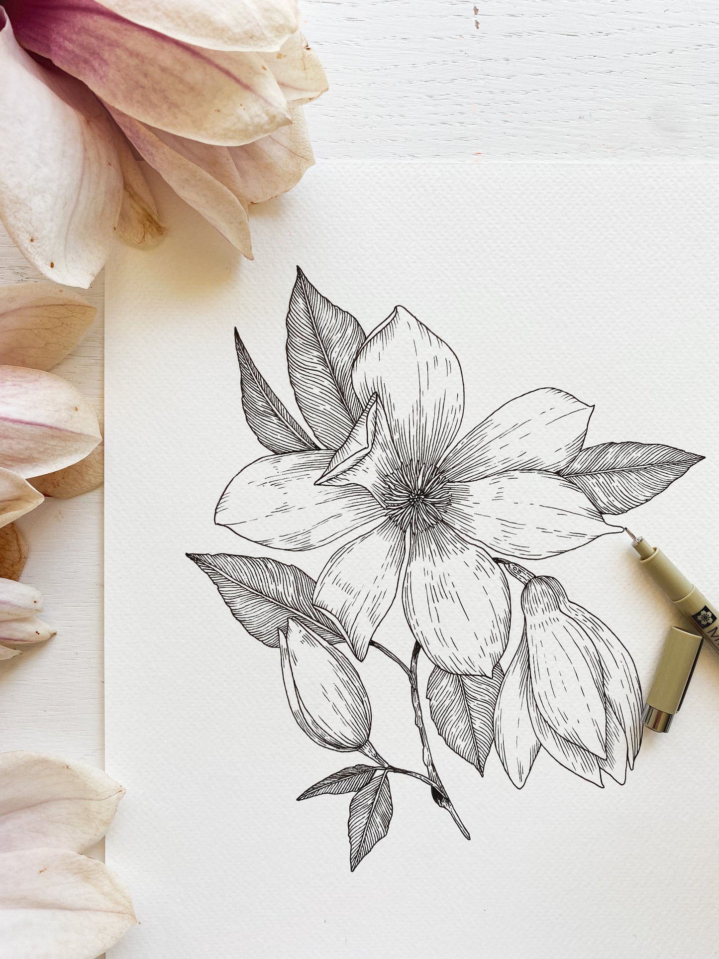 Magnolia Art Print