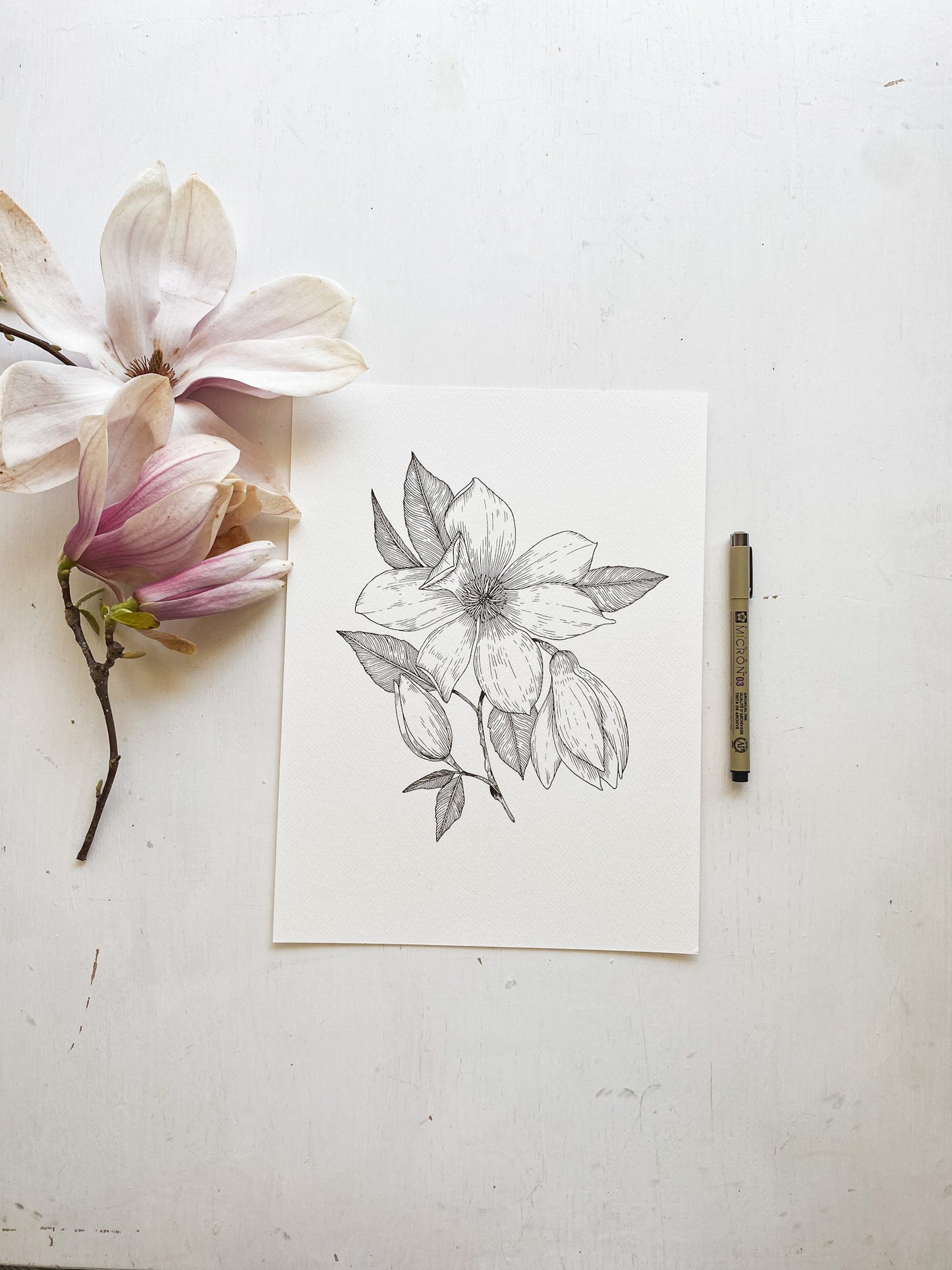 Magnolia Art Print