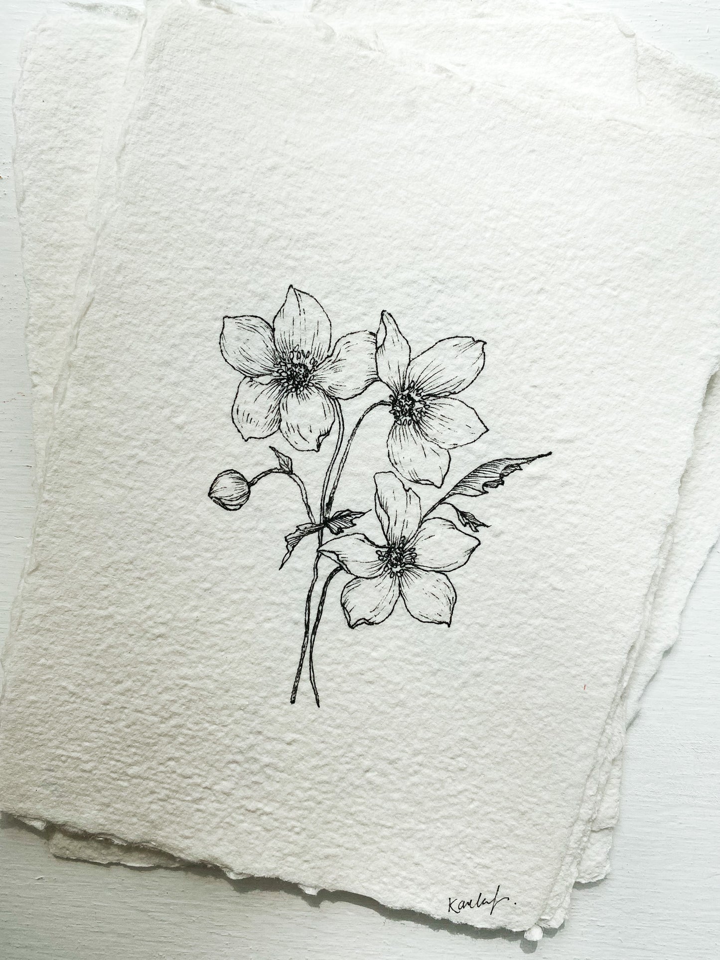 Original Drawing (Wild Rose no 3}