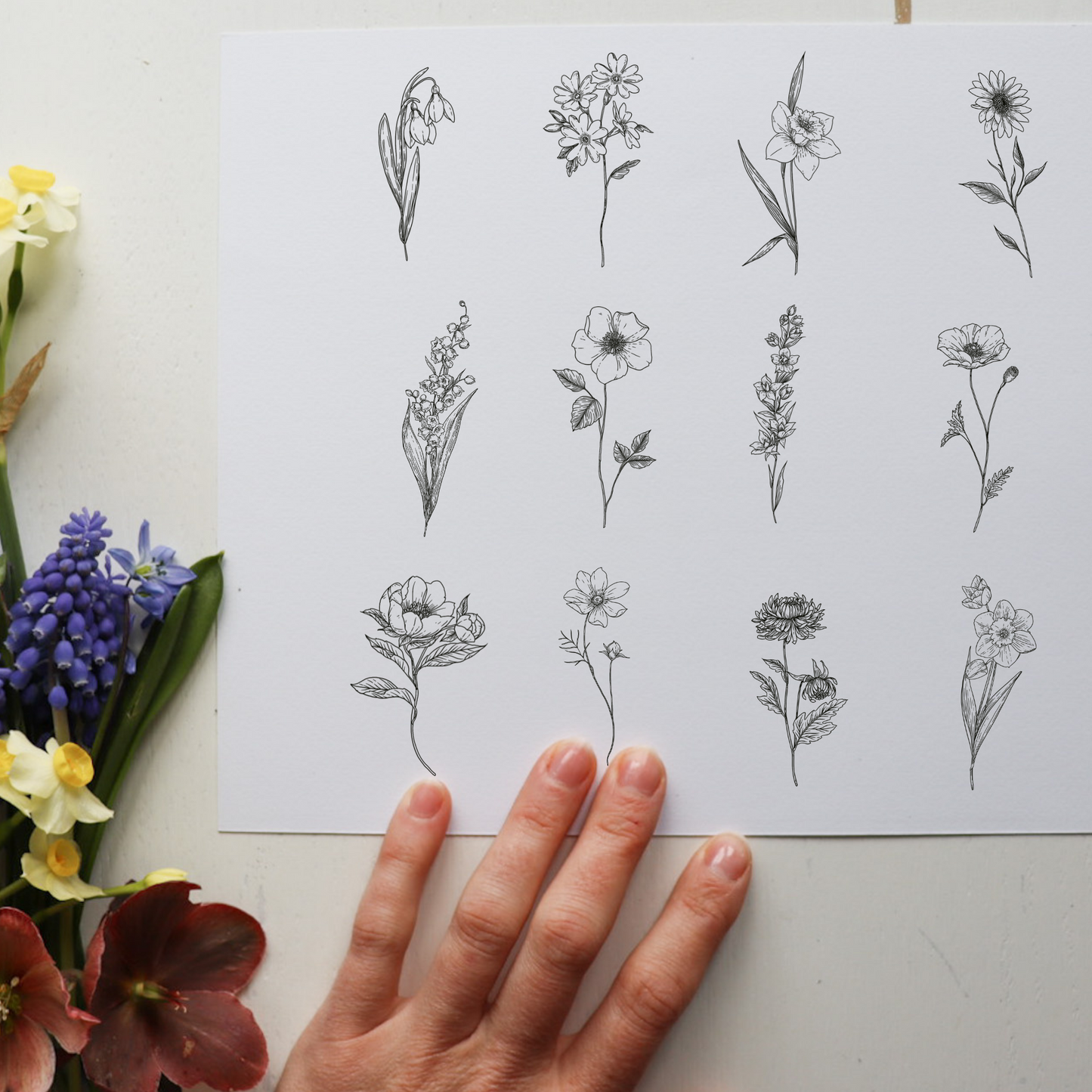 Custom Birth Flower Ink Illustration