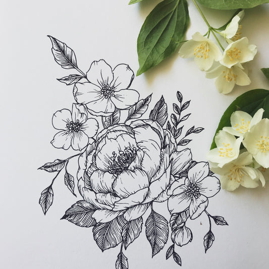 hand drawn floral botanical magnolia illustration minimalist peony wild rose wildflower hand drawn art