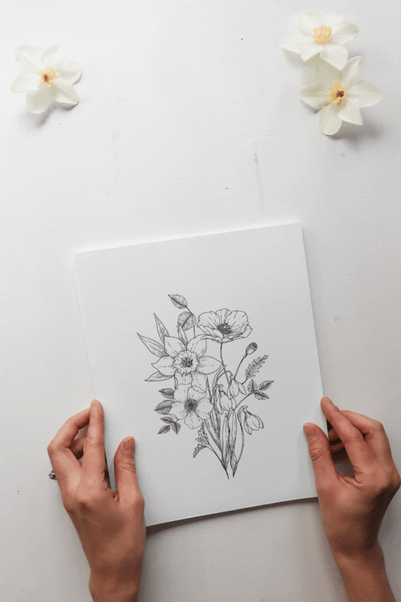 Vector Single One Line Drawn Set of Flowers. Rose Flower Drawing Outline  Illustration Isolated on White Background Stock Vector - Illustration of  minimalism, outline: 157756389